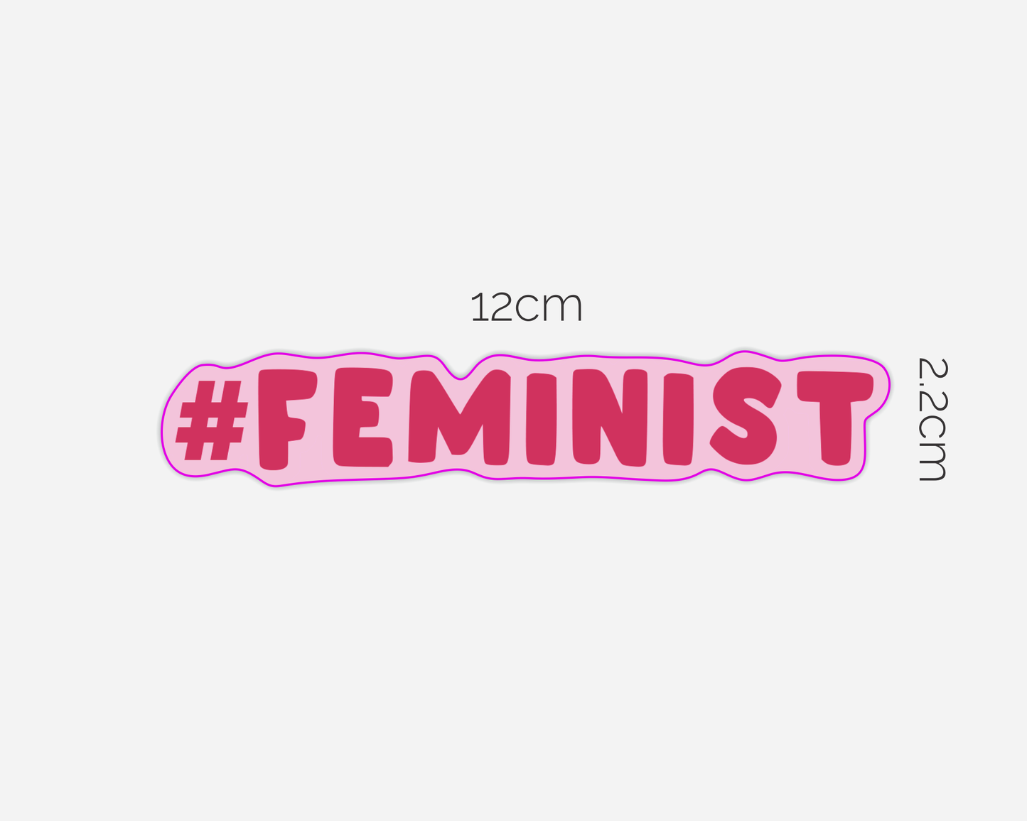 #Feminist Magnet